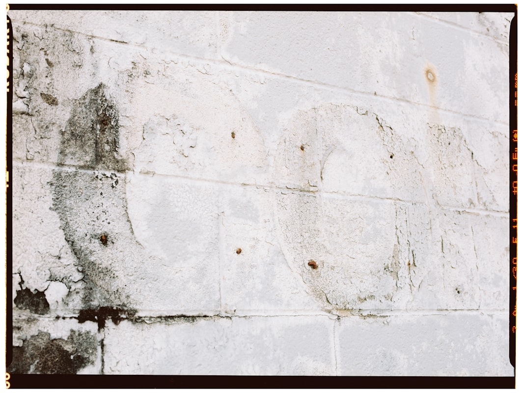 Sewage Cleanup service in Harlingen, TX